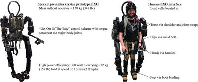 Sensemaking, adaptation and agency in human-exoskeleton synchrony